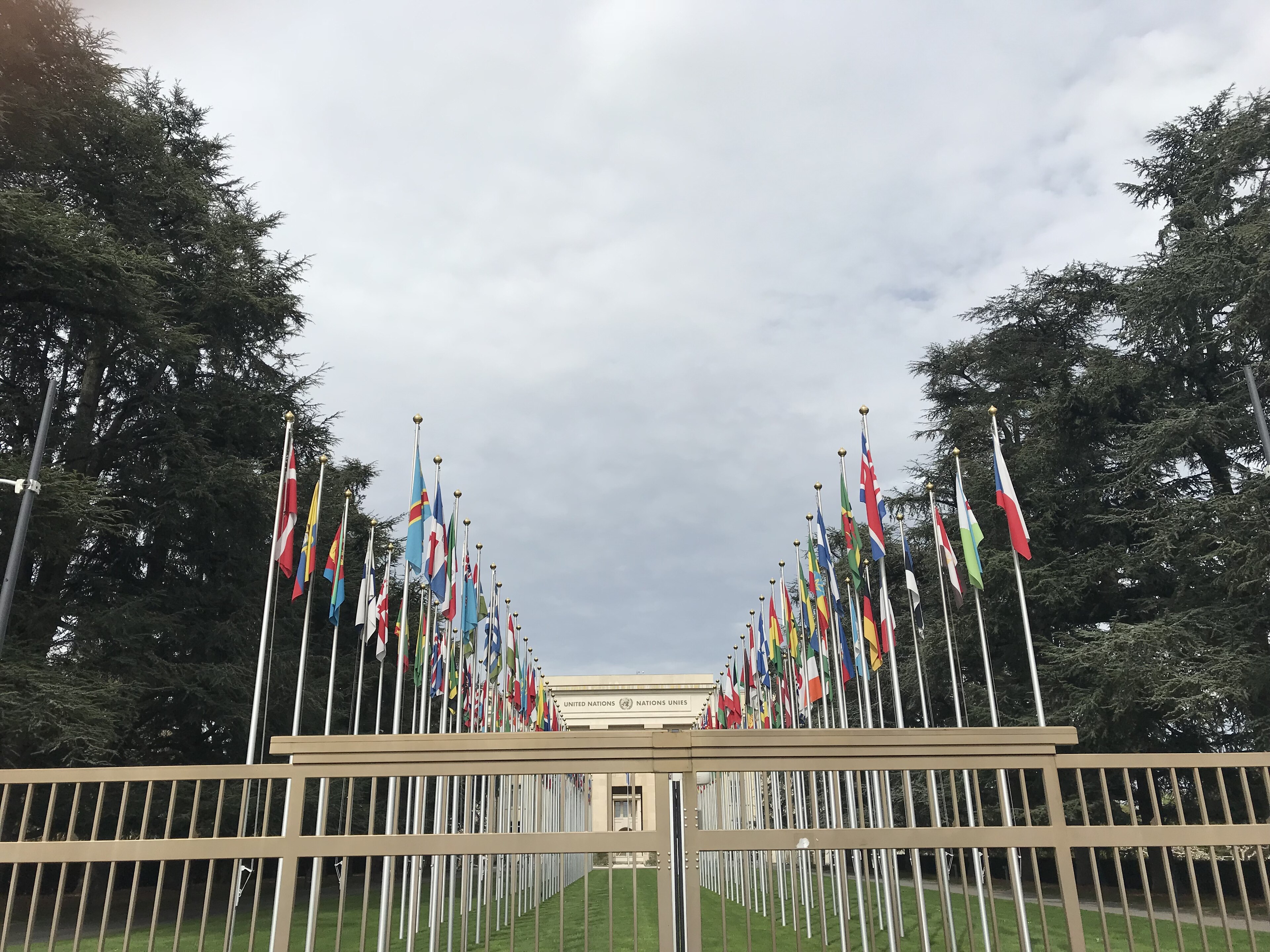 National flags at the Palace of Nations in Geneva, 2018. An illustration of international diplomacy.