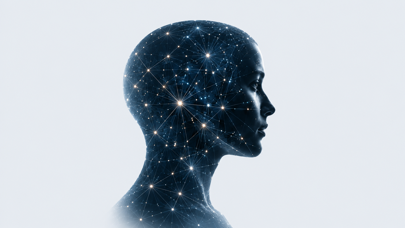 A human profile and a network of information connections
